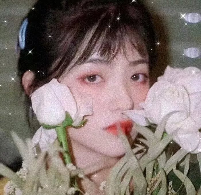 镜中花